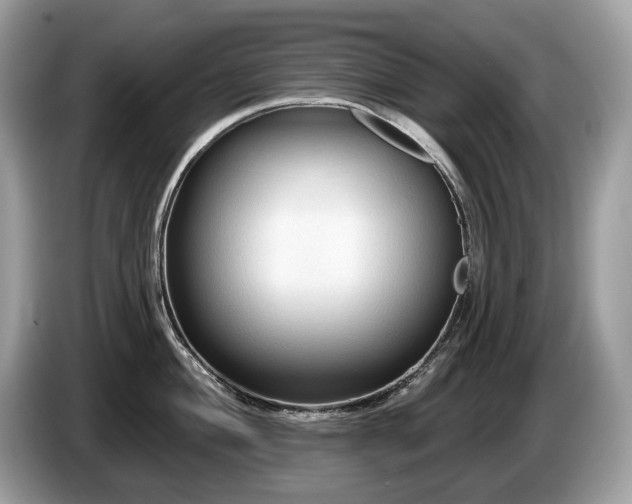 X0000087511004200704271119