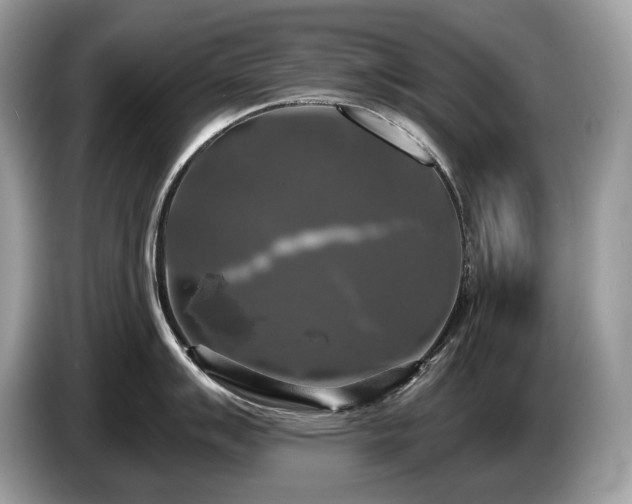 X0000087511007200704271119
