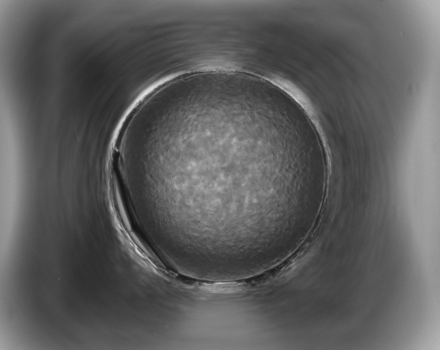 X0000087511008200704271119