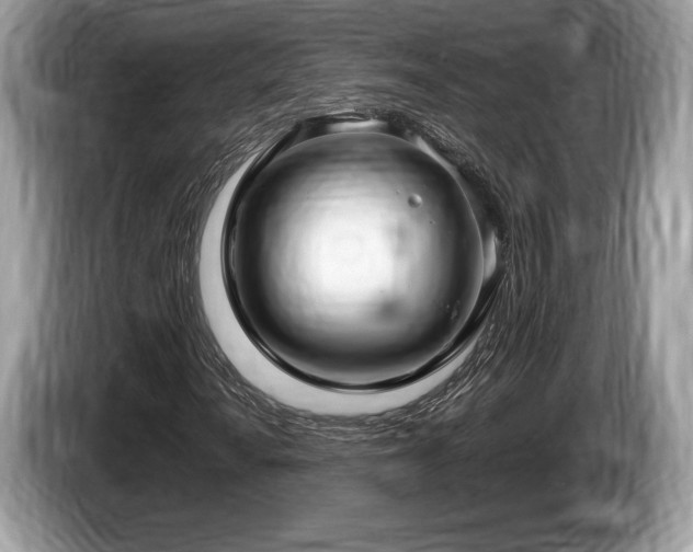 X0000087511010200704271119