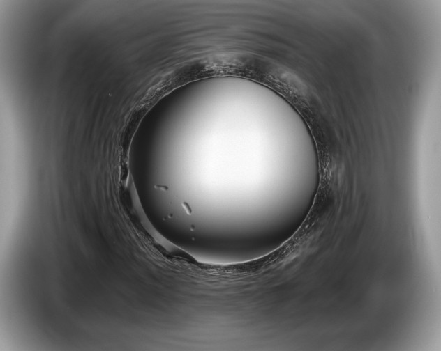 X0000087511012200704271119