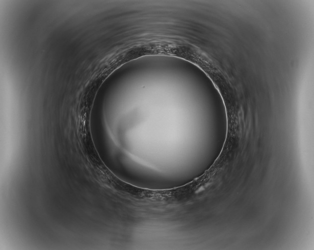 X0000087511013200704271119