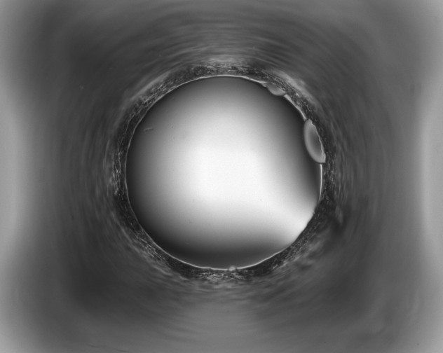 X0000087511015200704271119