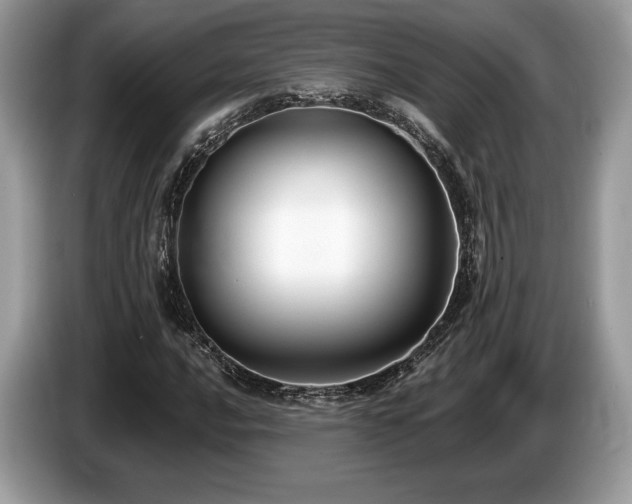 X0000087511016200704271119