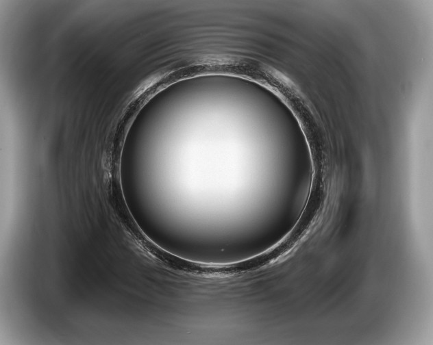 X0000087511017200704271119