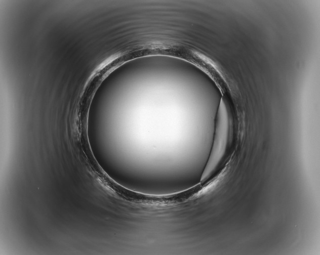 X0000087511018200704271119