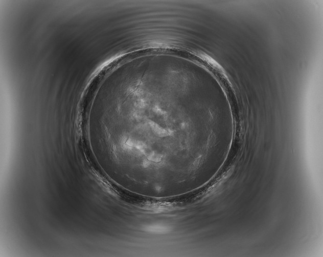 X0000087511019200704271119