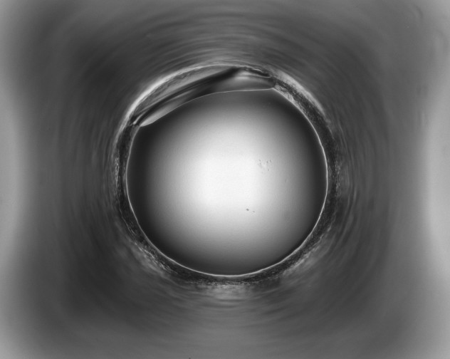 X0000087511021200704271119