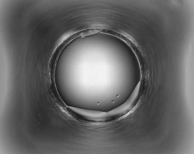 X0000087511022200704271119