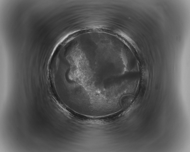 X0000087511023200704271119