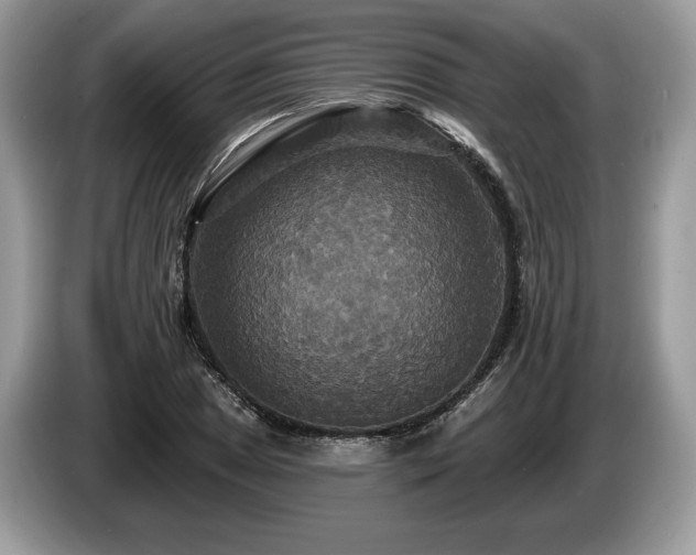 X0000087511025200704271119