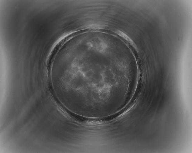 X0000087511027200704271119