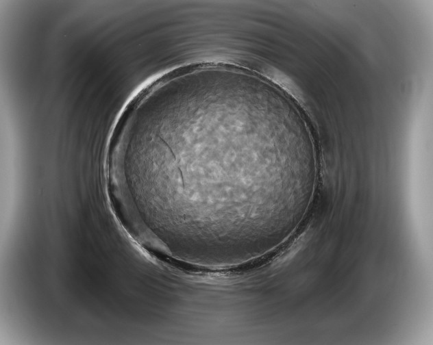X0000087511028200704271119