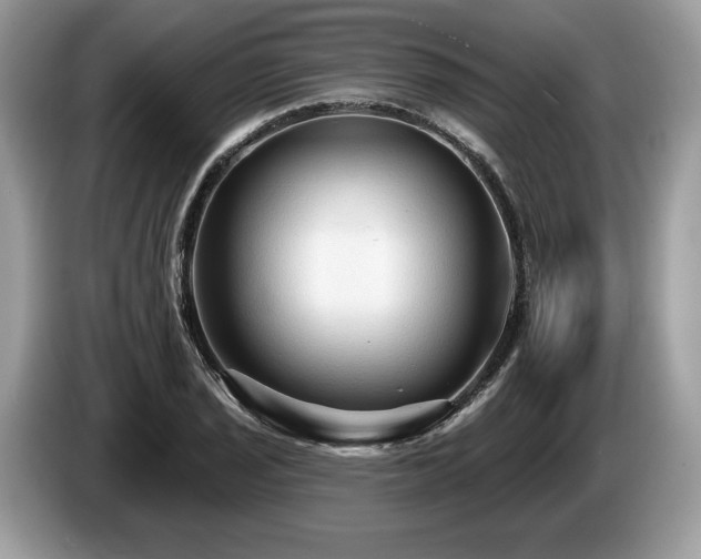 X0000087511029200704271119