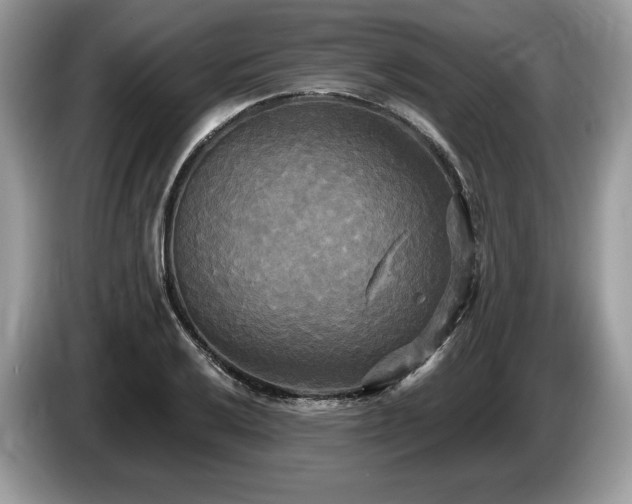 X0000087511032200704271119