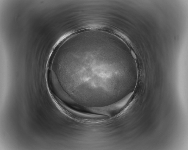 X0000087511034200704271119