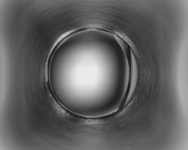 X0000087511036200704271119
