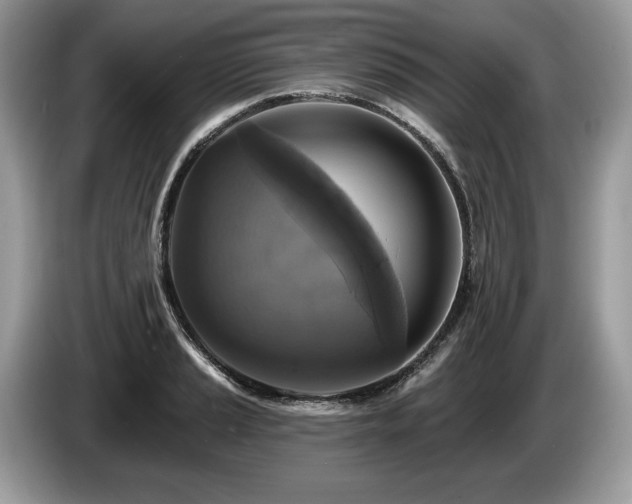 X0000087511037200704271119