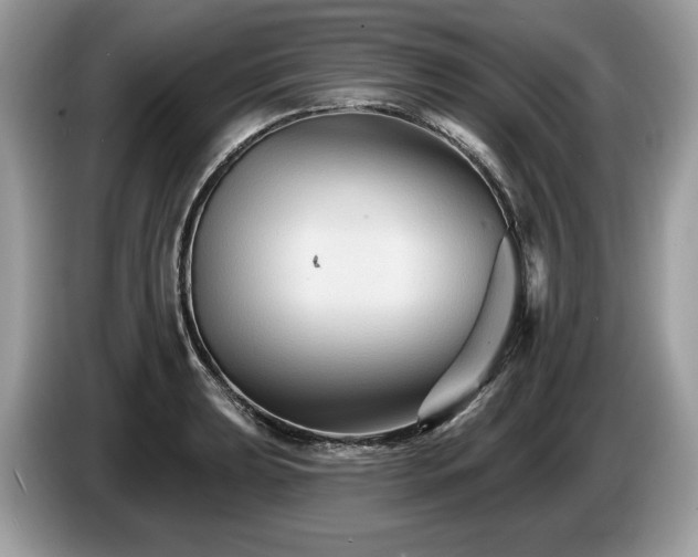 X0000087511039200704271119