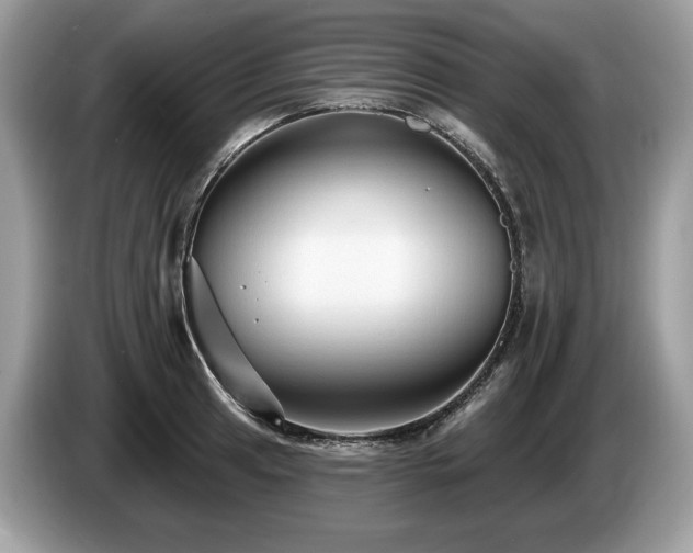 X0000087511041200704271119