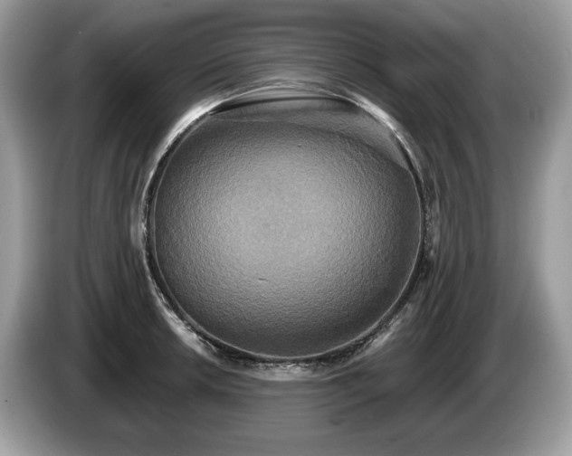 X0000087511042200704271119