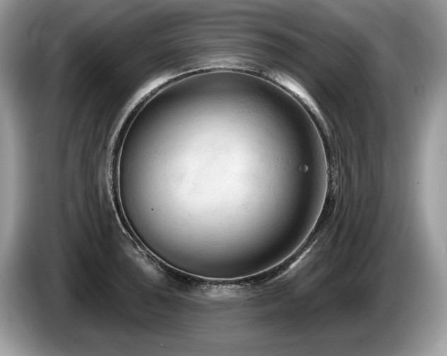 X0000087511043200704271119