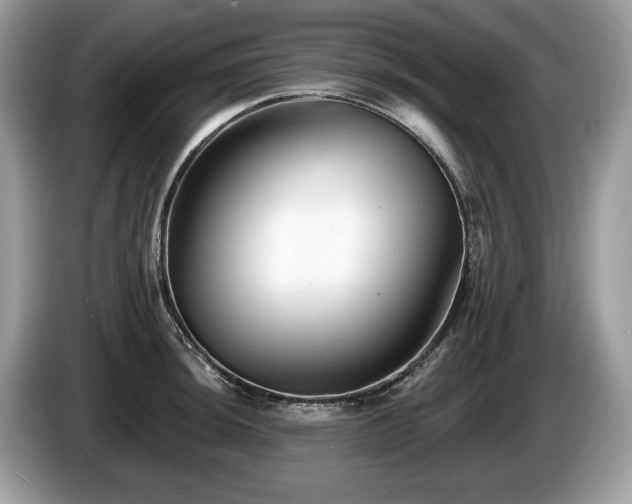 X0000087511044200704271119