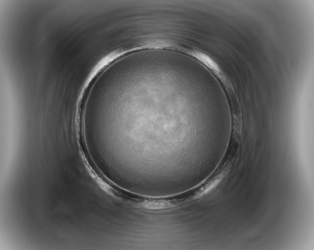 X0000087511046200704271119