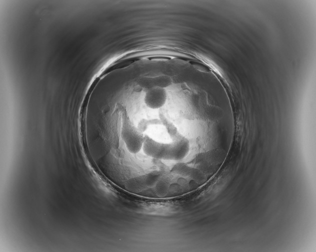 X0000087511047200704271119