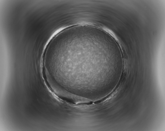 X0000087511048200704271119