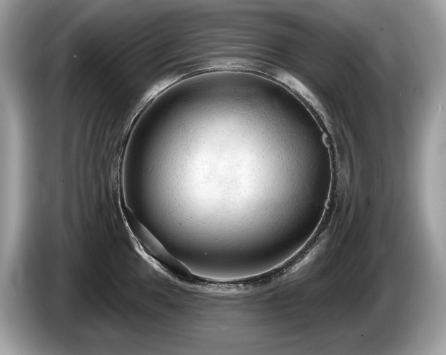 X0000087511049200704271119