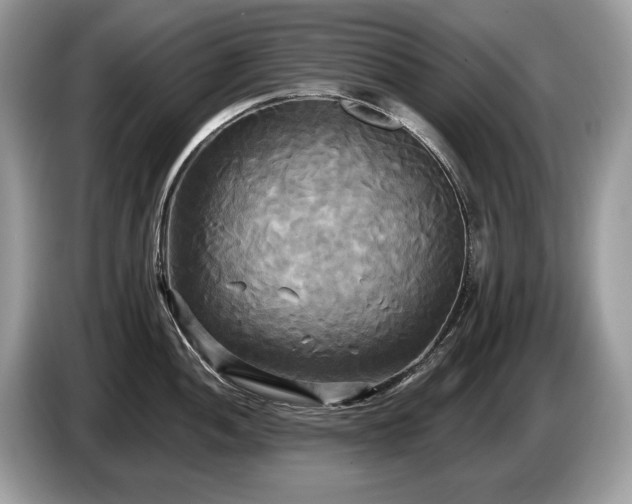 X0000087511052200704271119