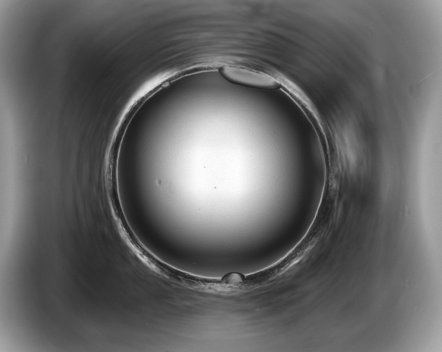 X0000087511053200704271119
