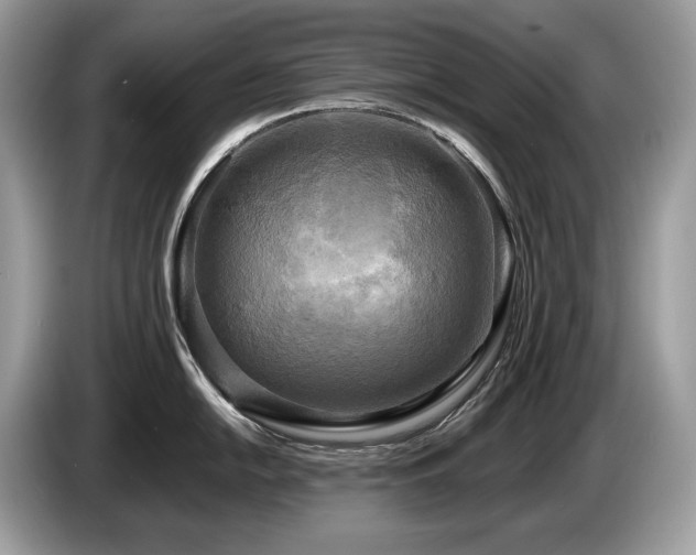 X0000087511054200704271119
