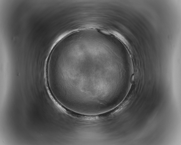 X0000087511055200704271119
