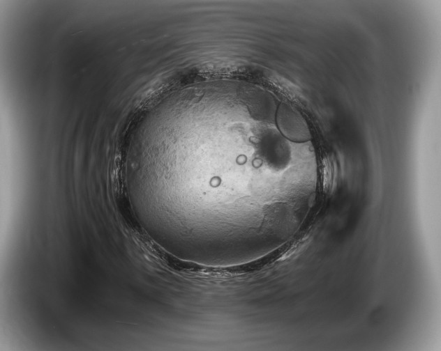 X0000087511059200704271119