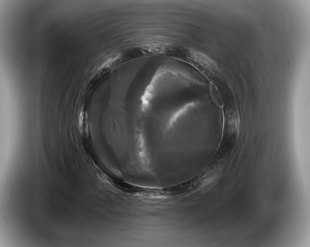 X0000087511060200704271119