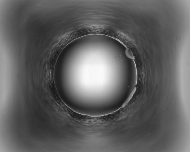 X0000087511061200704271119
