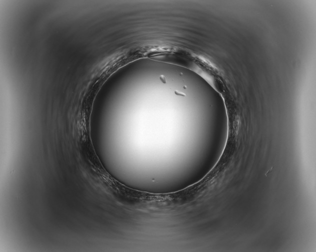 X0000087511062200704271119