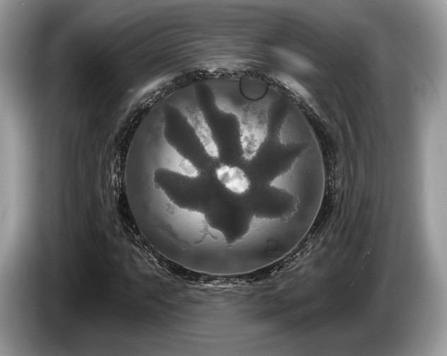 X0000087511063200704271119