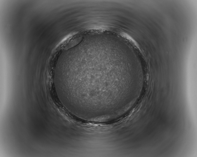 X0000087511064200704271119