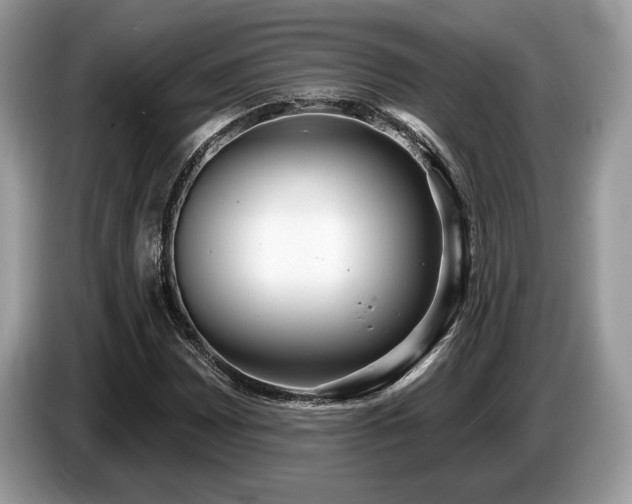 X0000087511065200704271118