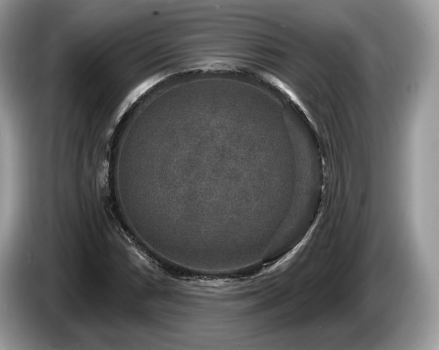 X0000087511066200704271118