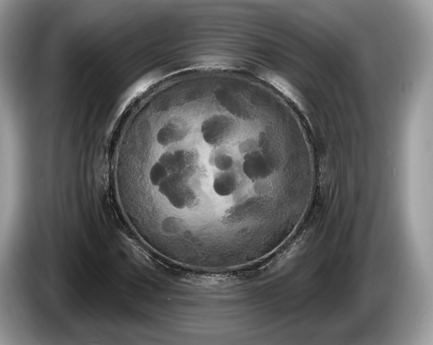 X0000087511067200704271118