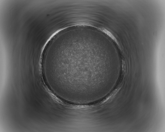 X0000087511068200704271118