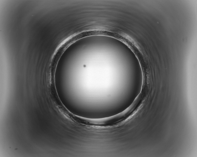 X0000087511069200704271118