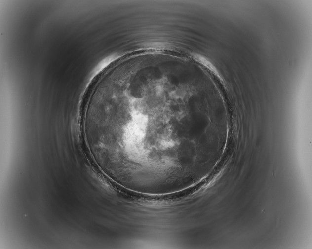 X0000087511071200704271118