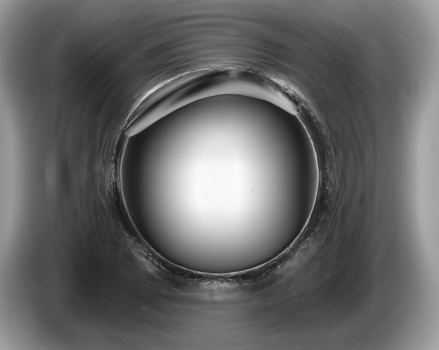 X0000087511073200704271118