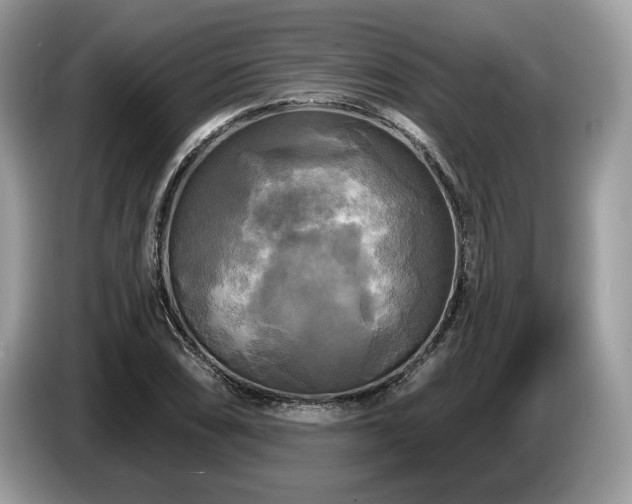X0000087511074200704271118