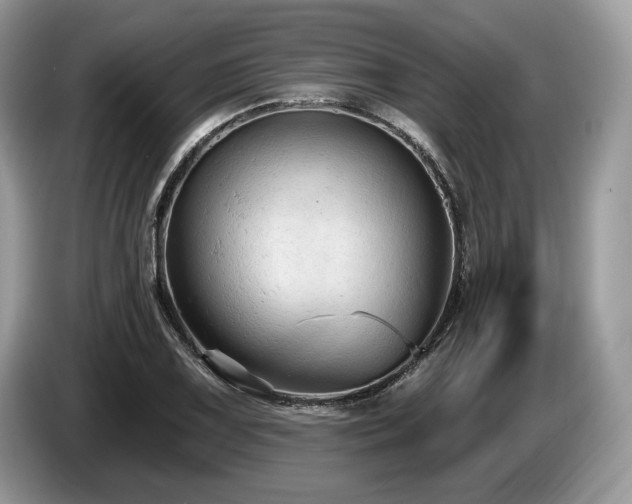 X0000087511075200704271118